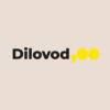 Dilovod Integration